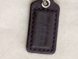 Coach Bag (Vintage)