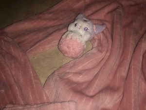 Pink velvet loungewear set