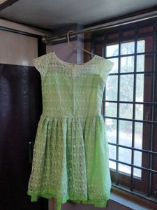 Green Lace Skater Dress