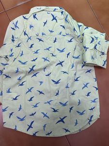 Boys Bird Print Shirt babyhug