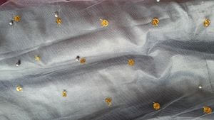 Lahanga Choli