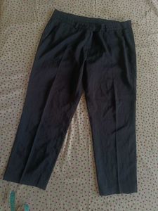 Blue Pant For Men
