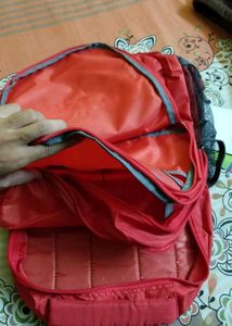 American Tourister Red And Grey Backpack