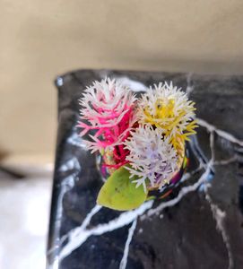 Miniature Plant