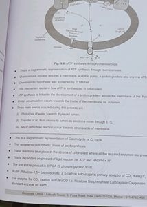 Diagram Book Of Zoology And Botany For Neet