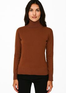 Brown Turtleneck Sweater