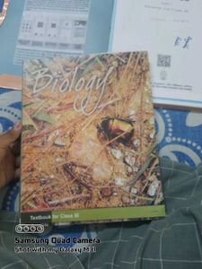 Class XI Physics Textbook - Part I