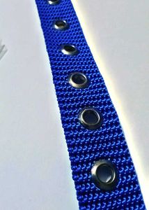 Blue Canvas Belt with Silver Buckle