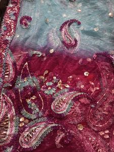 Double Shade Net With Full Dupptta Embroidery