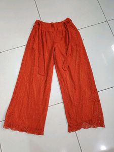 Beautiful Elegant Wow Palazzo Pant