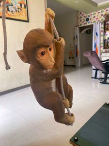 Monkey Showpieces