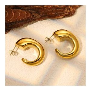 Anti-tarnish Hoops Earrings Pvd-plated
