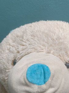 Cute Teddy Bear