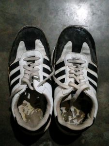 Classic Sneakers