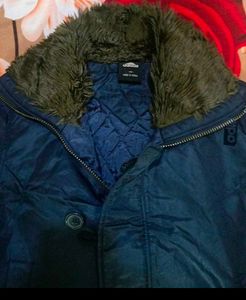 Adidas Jacket