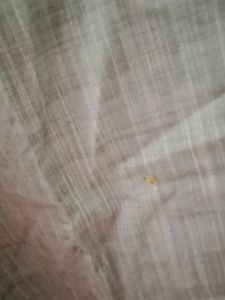 Netplay Ethnic Kurta Shirt