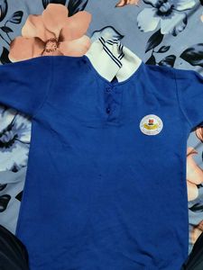 Blue Polo T-Shirt for school