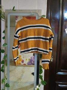 Striped Knit Crop Sweater
