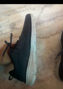 Blue Original Skechers Sneakers with Box