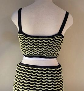 Zara Knit Crop Top &amp; Skirt Set