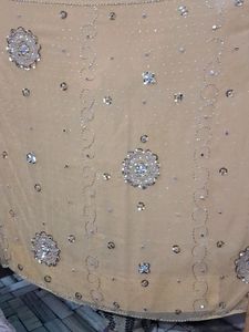 Beautiful Heavy Work Saari With Blouse