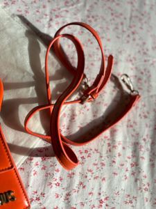 Jacquemus Le Chiquito Bag