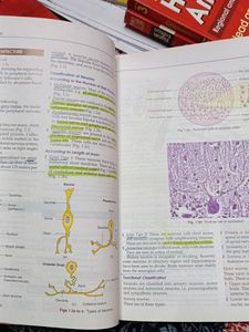 BD Chaurasia Volume 1(8th Edition)+Dissection Kit
