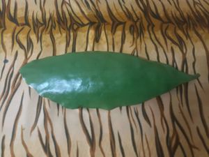 Green Trinket