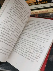 Dear Stranger &amp; Jonathan Livingston