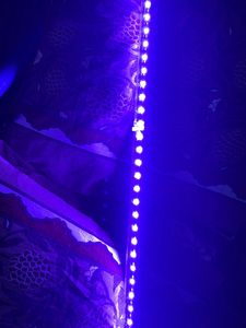 Fish Tank Lights….