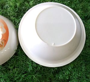 Food Storing Bowl / High Quality