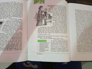 NCERT English Class 12 XII Flamingo vistas Book