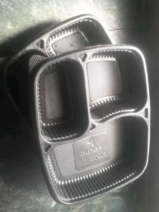 Disposable Container
