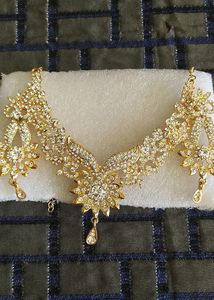 Beautiful Shinny Necklace