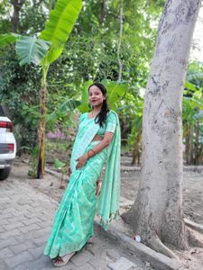 Elegant Mint Green Saree