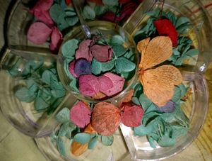 Dry Flower For Resin