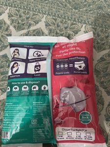 Evereve Overnight Period Panties