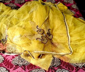 Party Wear Full Embroidery Hand Work Saree