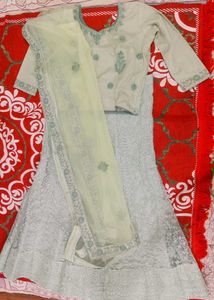 Elegant Lehenga Choli Set