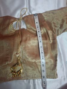 Golden Blouse with Net Sleeves