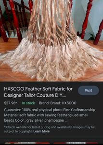 Feathered Lehenga Choli
