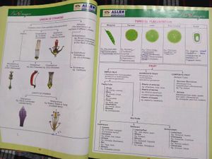 Bioimagica Textbook