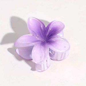 Fuzzy Claw Hair Clip (Get One For 80)