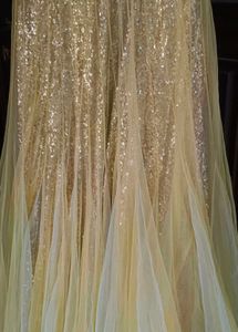 Elegant Ethnic Gown