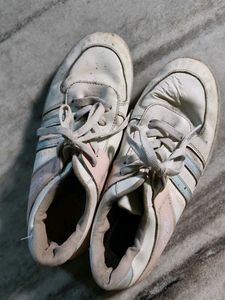 Daily Wear Sneakers