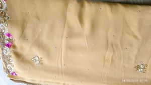 Elegant Embellished Saree