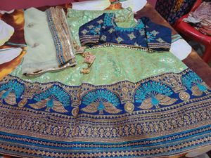Elegant heavy work peacock zari Lehenga Choli Set