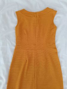 Mustard Women dress