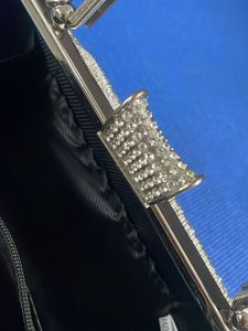 Silver Clutch