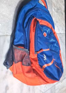 Skybags Branded Backpack 32 L With Rain Cover